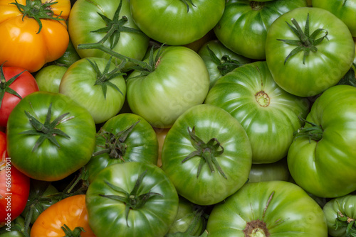 red and green tomatoes