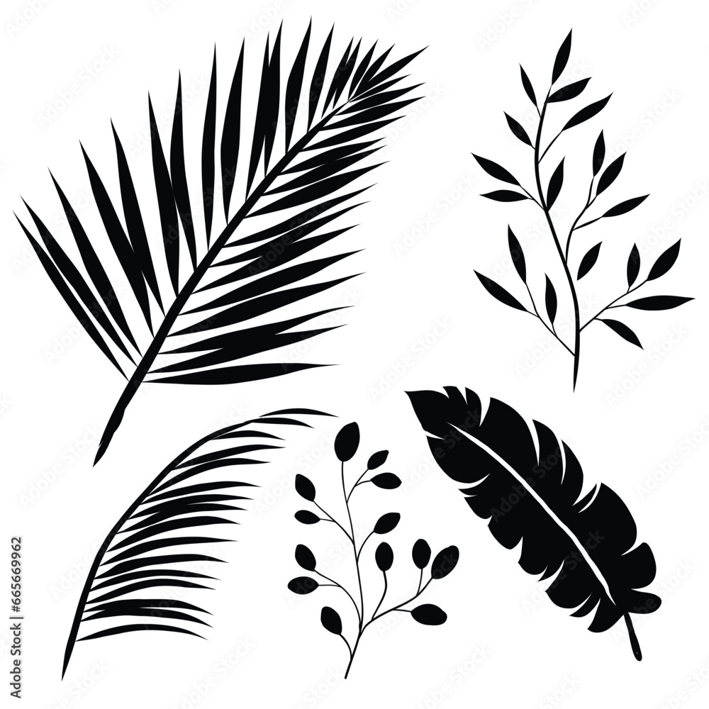 Obraz premium 1 set of leaf silhouettes. vector eps 10