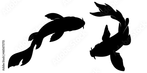 silhouette of a fish