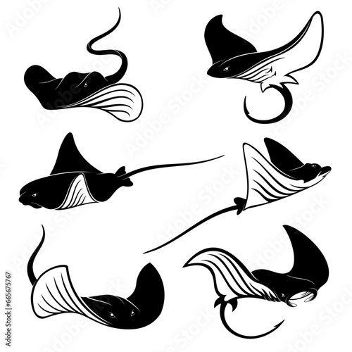 Canvas Print set of stingray