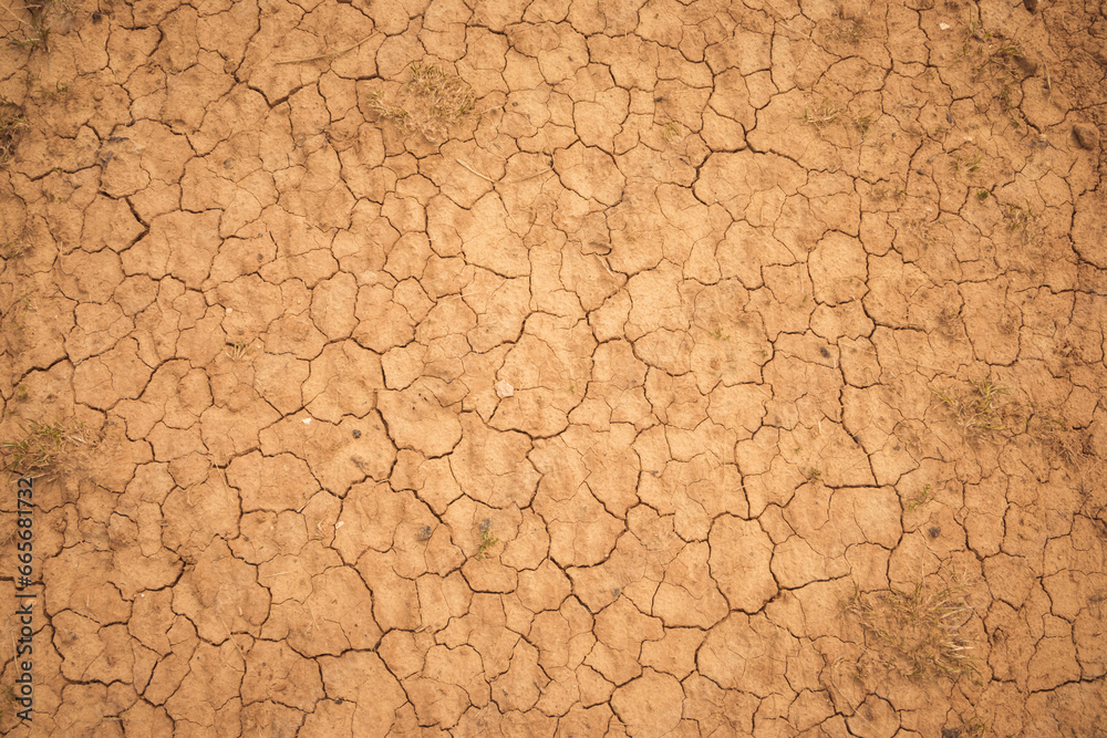 Dehydrated earth with cracks. Dry land. Cracked Ground, Earthquake Background, Texture Dehydrated earth with cracks. Dry land. Cracked Ground, Earthquake Background, Texture