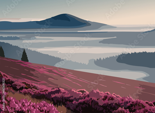 Landscape of mountains with blooming heather during misty early morning.