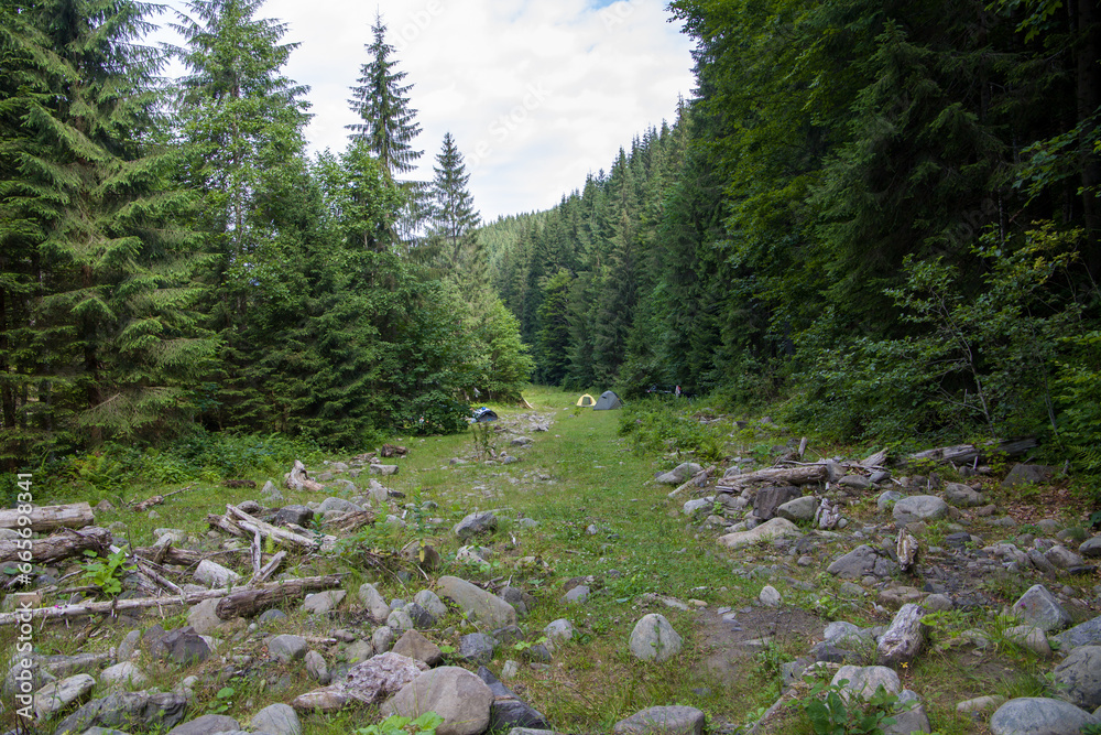 Hiking trail in the Carpathian mountains. Ukraine, Europe Hiking trail in the Carpathian mountains. Ukraine, Europe