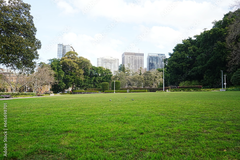 Hyde Park in Sydney, Australia - オーストラリア シドニー ハイドパーク