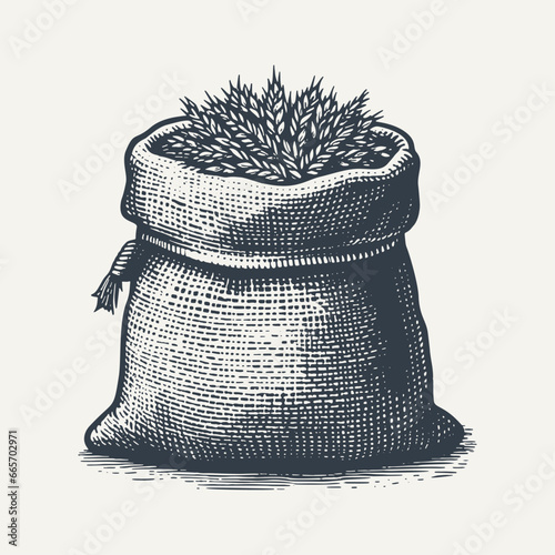 Burlap sack full of wheat ears isolated on white. Vintage woodcut engraving style hand drawn vector illustration.