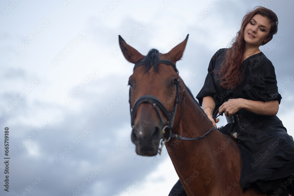 A beautiful young horsewoman in a black dress and with her hair down, riding a horse, portrait against the background of the evening sky, horseback riding in the open air A beautiful young horsewoman in a black dress and with her hair down, riding a horse, portrait against the background of the evening sky, horseback riding in the open air