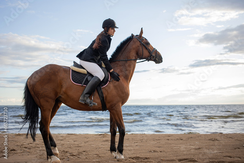 Horsewoman in equestrian sports gear, riding a horse, on the beach, portrait on the background of the sea, horseback riding outdoors © Ulia Koltyrina
