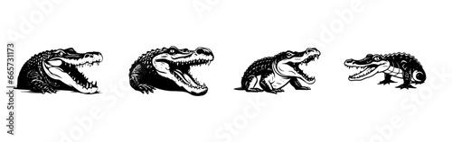black and white sketch of a crocodile © lahiru