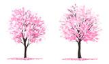 cherry tree, Vertor set of spring blossom tree,bloomimg plants side view for landscape elevation and section,eco environment concept design,watercolor sakura illustration,colorful season