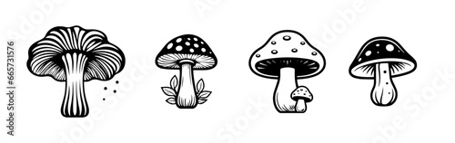 black and white illustration of mushroom  photo