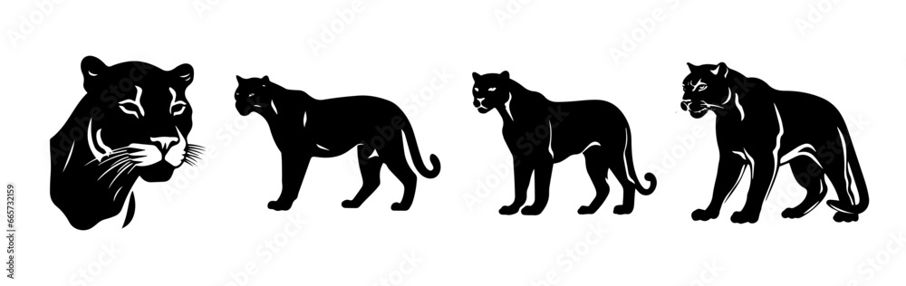 illustration of a silhouette of  panther 