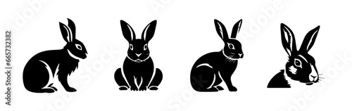 black and white illustration of a bunny