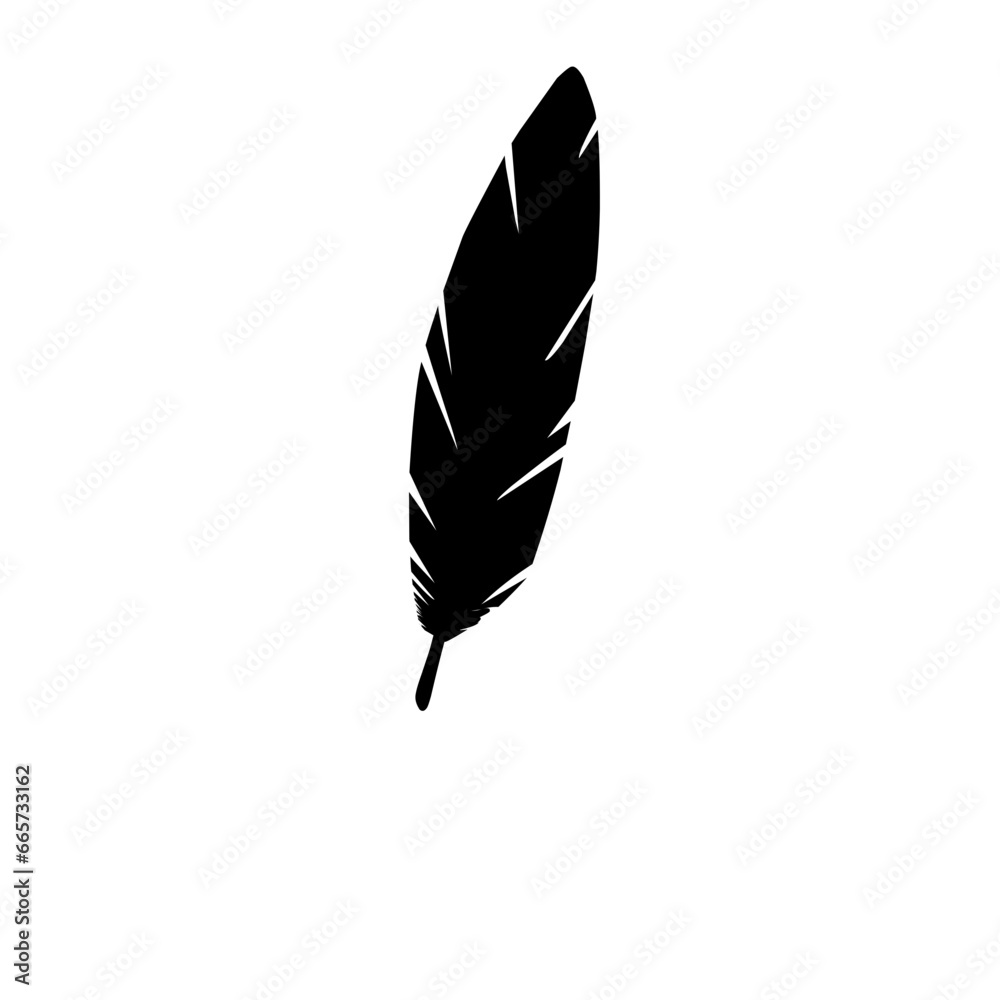 bird feather silhouette bird feather silhouette