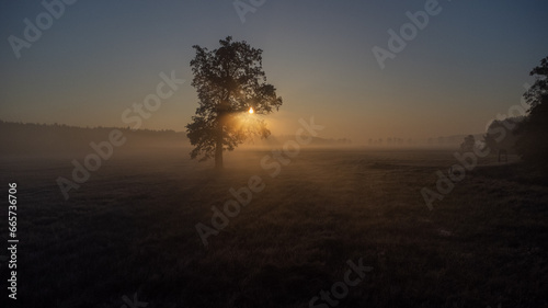 Mglisty wschód słońca  © Foto Kadr