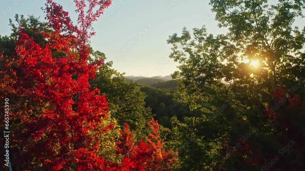 Beautiful sunrise aerial forward through autumn colored trees, smoky mountains