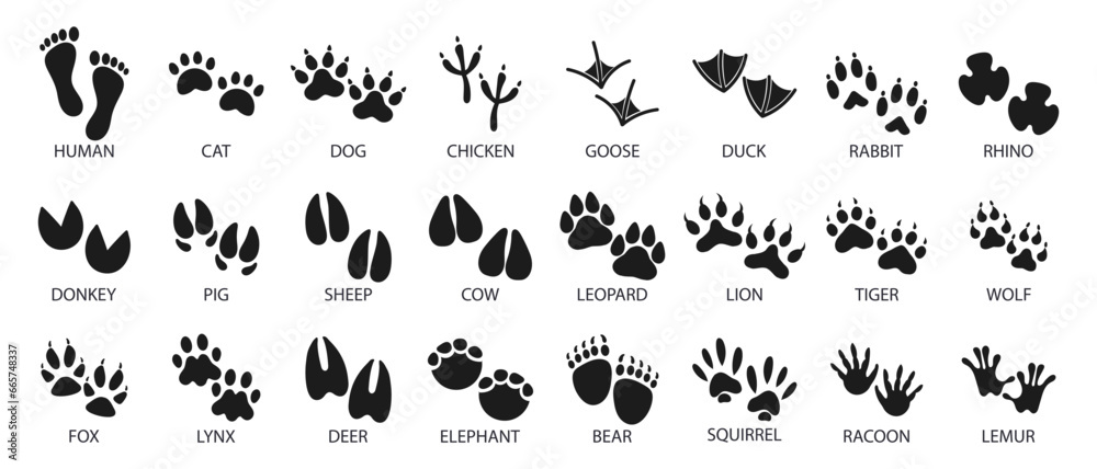 Big set of footprints of domestic and wild animals. Icons, sketch, vector - obrazy, fototapety, plakaty 