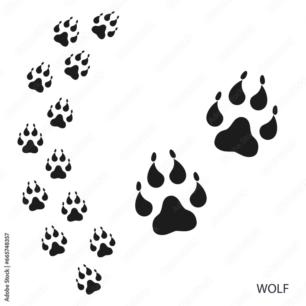 Fototapeta premium Paw prints, animal tracks, wolf footprints pattern. Icon and track of footprints. Black silhouette. Vector