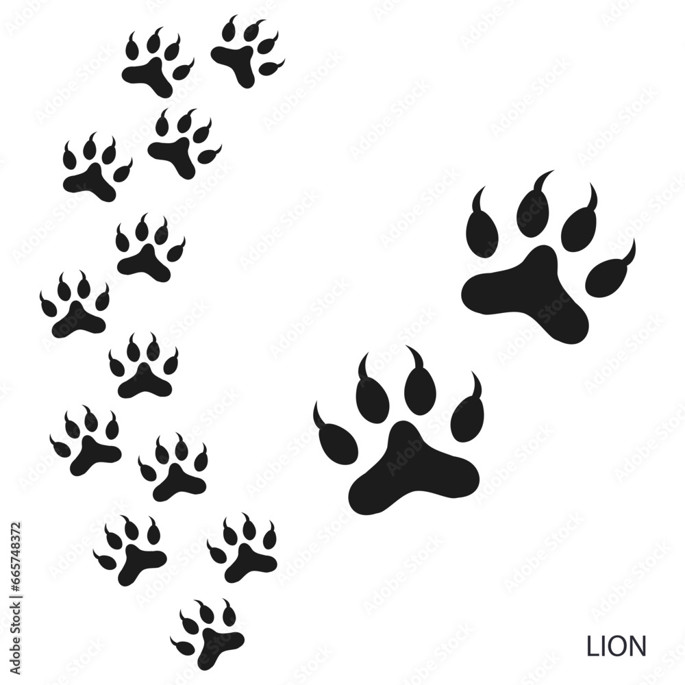 Paw prints, animal tracks, lion footprints pattern. Icon and track of footprints. Black silhouette. Vector Paw prints, animal tracks, lion footprints pattern. Icon and track of footprints. Black silhouette. Vector