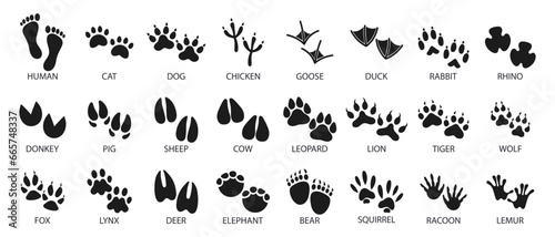 Big set of footprints of domestic and wild animals. Icons, sketch, vector © Tatiana