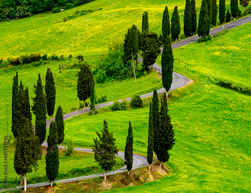 Monticchiello,Road with Zypress Trees,.Val D'Orcia ,Tuscany,Italy,Europe.UNESCO World Heritage Site photo