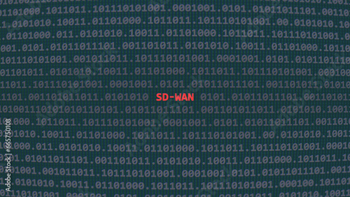 Sd-wan. Vulnerability text in binary system ascii art style, software-defined wide area network code on editor screen. Text in English, English text
