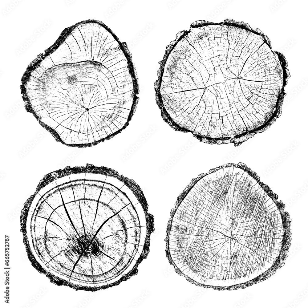 Set of distressed wood texture on white background. Cross section tree rings cut slice. Round wooden design elements. Vector illustration.