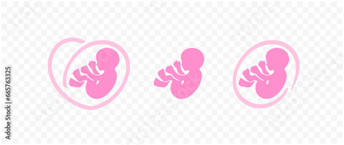 Birth, pregnancy, baby in belly, embryo and human fetus, graphic design. Fetal, fetus, germ, foetus, motherhood, obstetrics and medicine, vector design and illustration