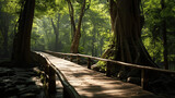 Wooden bridge in the green forest with morning light. Nature background