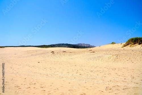 Dunes of Valdevaqueros  sand dunes on the beach at the Atlantic Ocean with the mountains of Andalusia behind  Costa de la Luz  province of C  diz  Spain  Travel  Tourism
