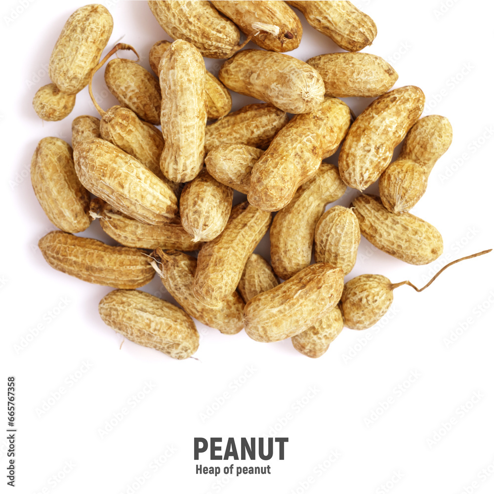 Roasted peanuts, peanuts in shell Isolated on white background Roasted peanuts, peanuts in shell Isolated on white background