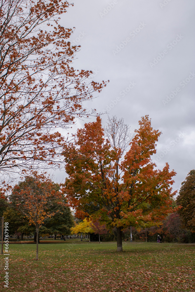 Cloudy day in during Fall in Toronto