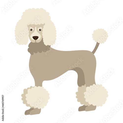 dog poodle design