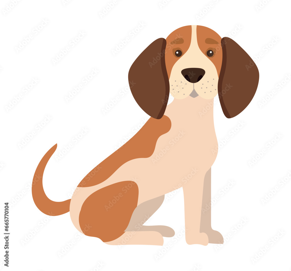 dog beagle illustration