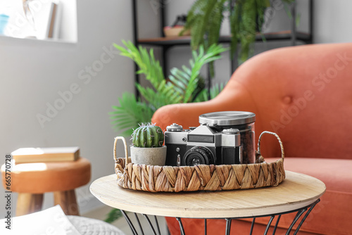 Wicker tray with cactus and camera on table in living room