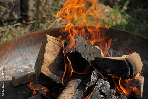 Fire wood fire in a fire bowl