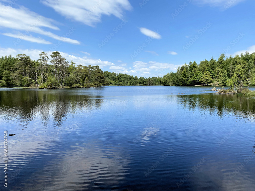 A view of the Lake District at High Dam Tarn near Windermere