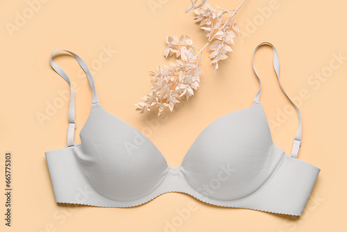 Stylish female bra and dried plant branch on color background