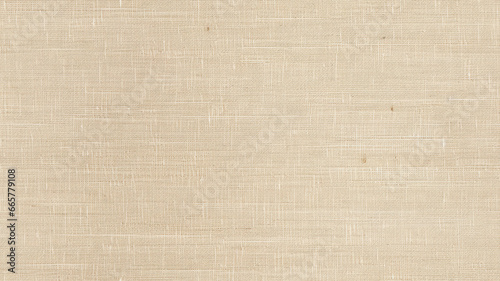 Natural Linen Seamless Texture