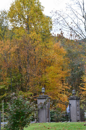 Leaves changing in the mountains