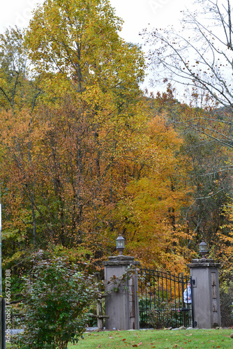 Leaves change in North Carolina