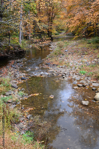 Mountain creek in the fall. Located in the North Carolina mountains.