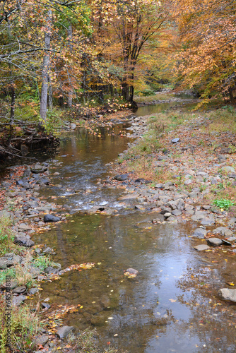 Small creek in the fall