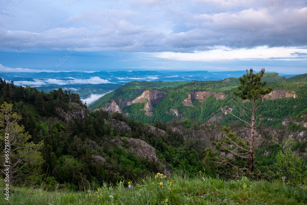 A small pine tree on the slope against the background of mountain expanses