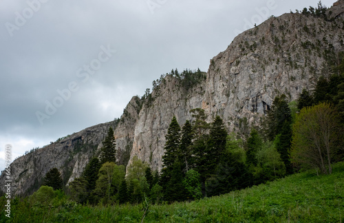 Mountain landscape. A big rock in the middle of a green forest on a summer day.