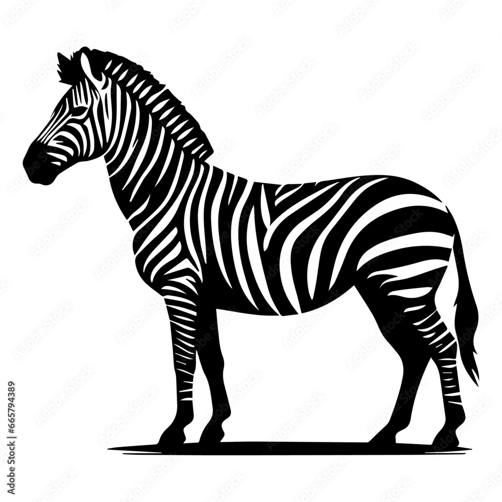 Fototapeta premium Zebra animal vector silhouette
