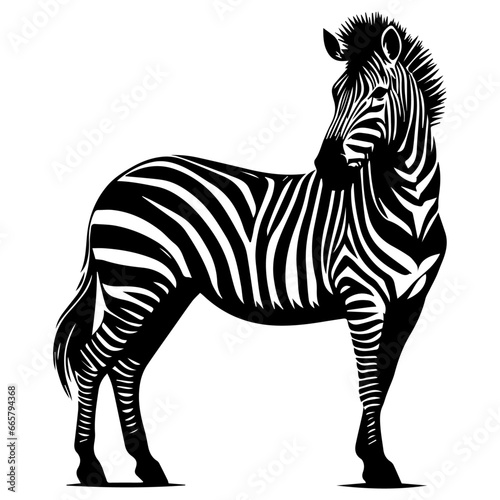 Zebra animal vector silhouette