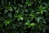 Green foliage on soft backdrop. Generative AI