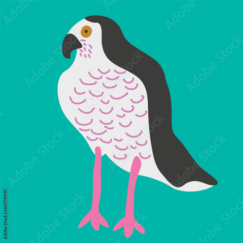 song hawk vector. wild animal in flat style. Template for poster logo icon for app website. Series of animal images in flat style