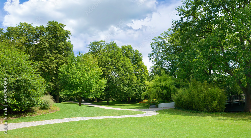Fototapeta premium Beautiful meadow in the park
