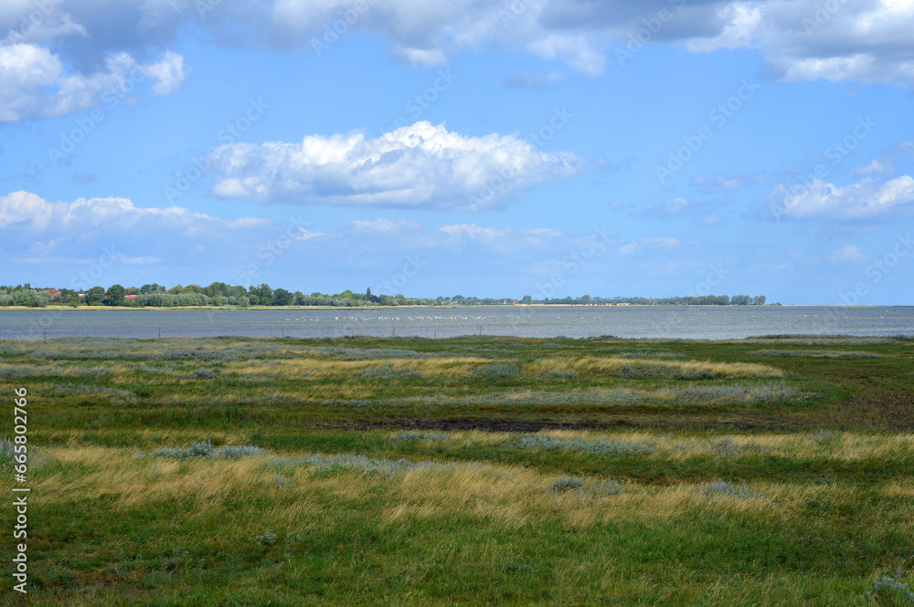 Wetlands and view to the Poel Island in Mecklenburg  Vorpommern, Germany